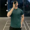 Camisa polo, de punto, manga corta, cuello en V de gaviota para hombre, camiseta de seda helada estilo 'old money' para negocios, venta al por mayor de fábrica transfronteriza de verano