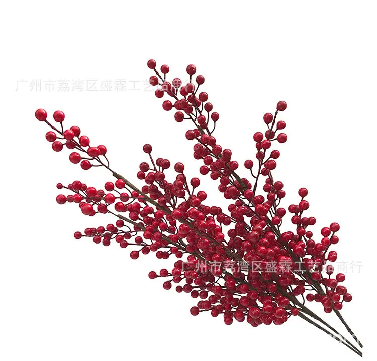 红果-(1)_08.jpg