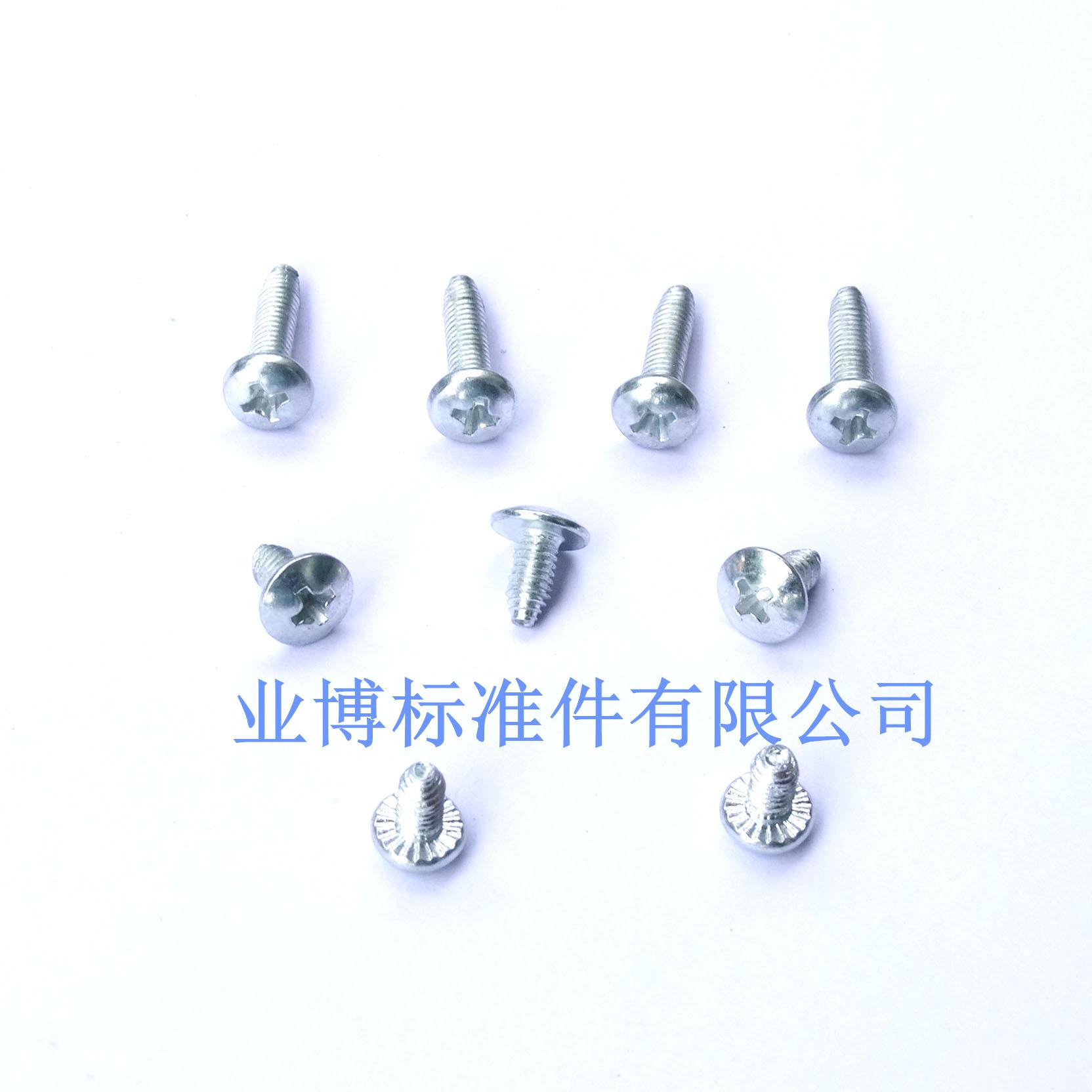 DSCF1727_副本