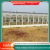 Fabricantes de Estufas de Vidro Inteligentes Realizam Diversos Projetos de Estufas e Fornecem Instalação e Construção de Jardins de Flores no Local