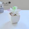 Suculenta Pequeño Bonsái Cerámica Muebles para el Hogar Decoración Fabricante de Jinhua Plantas Verdes Aliexpress Flor Artificial Plantas en Maceta