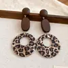 Pendientes Geométricos de Flor de Resina Transfronterizos Europeos y Americanos Otoplastias Maillard Otoño e Invierno Diseño Nicho de Gama Alta Joyería para Orejas Venta al por Mayor