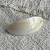 Un Nuevo Pinza para el Cabello de Acetato Estilo Coreano de Lan, Pinza de Garra Grande y Mediana, Pinza de Resorte, Pinza para Flequillo de Mujer, Pasador, Pinza de Tiburón, Accesorio para el Cabello