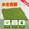 Césped de Musgo Artificial, Musgo Falso Biónico, Césped Artificial, Musgo Verde Falso Eterno, Plantas Verdes para Micro-Paisajismo, Césped Artificial de Seda para Paisajismo