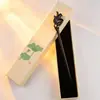 Caja de Regalo para Pasador de Ébano, Pasador de Estilo Chino Tradicional, Accesorio para el Cabello Hanfu, Accesorio de Moda, Adorno para el Cabello, Pasador para Recogido, Sensación de Alta Gama