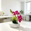 Novo Vaso Branco Pequeno e Raso para Aloe Vera Três Phalaenopsis Pequeno Bonsai Decoração de Casa e Hotel Ornamento de Bonsai Phalaenopsis