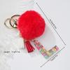 Llavero colgante con letra de pieza de fruta de resina transparente transfronteriza, llavero colgante de bola de pelo roja de moda personalizado