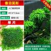 Musgo planta acuática mousse pecera pasto real triángulo negativo grande Meifeng madera sumergida a granel lágrima coral paisaje