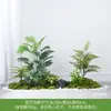 Planta Artificial Empilhada para Paisagismo Sob Escada, Samambaia & Pteri