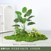 Plantas Verdes Simuladas Musgo Plantas de Paisajismo Interior Paisaje Pequeño Combinación Adornos de Musgo Verde Debajo de las Escaleras Arreglo de Flores Artificiales Biónicas