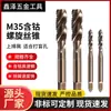 Machado espiral M35 contendo cobalto aço rápido Fresadora completa aço rápido para máquina fresadora fabricante de machos atacado