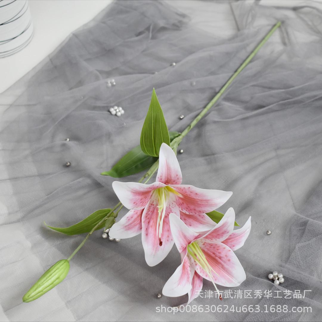 百合深粉