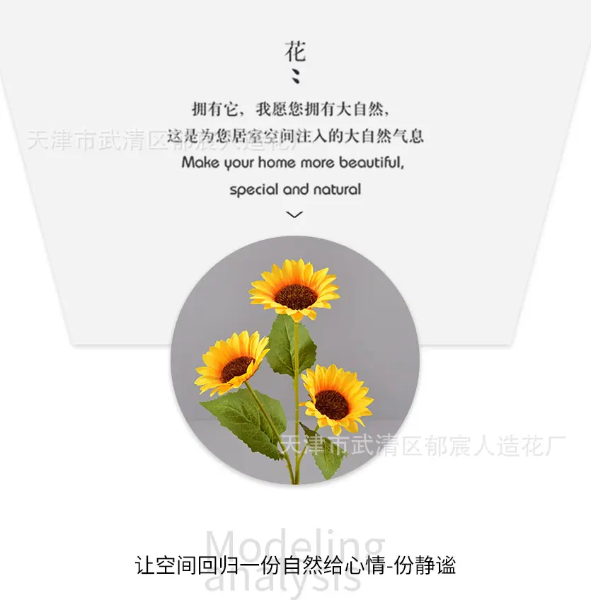 详情_04.jpg
