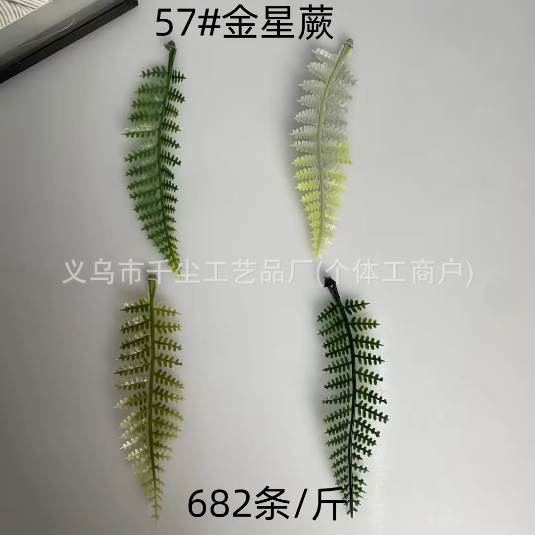 57#金星蕨.jpg