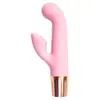 Laile Barra Doble Divertida LL-2333-A Polvo de Sakura/Ropa Ahumada Morado Productos para Adultos Productos Sexuales Productos Sexuales Al por Mayor Generación