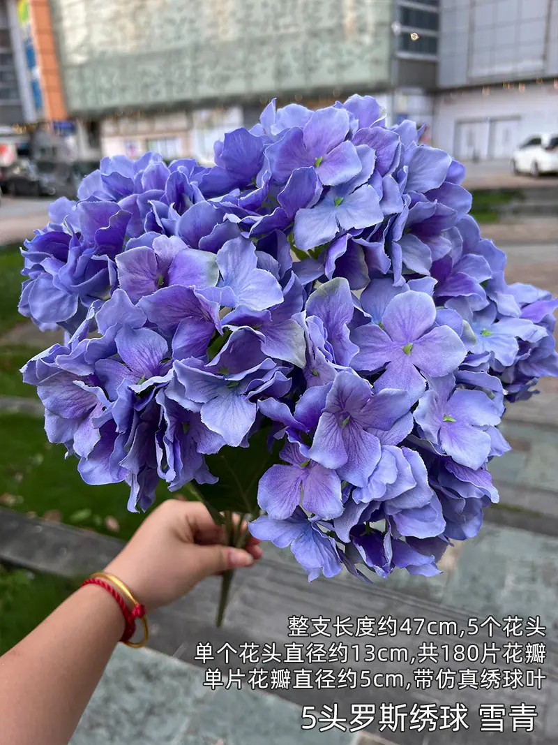 5头罗斯绣球 雪青.jpg