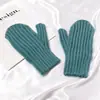 Guantes de Dedo Completo para Mujer Invierno Forro Polar Engrosados Doble Capa Cálidos Guantes Lindos de Estudiante para Exteriores A Prueba de Frío A Prueba de Viento Guantes para Montar