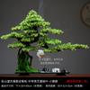 Novos Enfeites de Planta em Vaso Pinheiro de Boas-Vindas Estilo Chinês Decoração de Paisagem Zen para Entrada de Casa Sala de Estar Mesa de Escritório