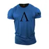 Tótem Espartano Impreso en 3D Transfronterizo Europeo y Americano Nuevo Camiseta Casual de Manga Corta para Hombre Venta Directa del Fabricante Fuente