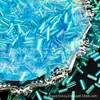 Accesorios para Joyería Hechos a Mano DIY, Cuentas Tubulares Coloridas, Cuentas de Arroz de Vidrio, Materiales para Bordado a Mano en Ropa y Collares