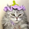 2026 Amazon Transfronteiriça Novo Chapéu para Pet Chapéu de Morning Glory Tricotado à Mão Adereço de Cabeça Fofo para Gato Estilo Tricotado