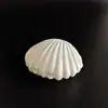 Directo del fabricante: Caja de dulces creativa y exquisita con forma de concha pequeña, color perla, galvanizada, caja de embalaje de plástico, caja de almacenamiento personalizada