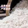 Shanzhuren Arroz Pato Arroz Plántula Arroz 0.5kg Venta Evento Venta Directa Regalo Granos Fábrica Mayorista Personalizado Nuevo Arroz Empacado al Vacío