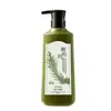 Shampoo Anti-Caspa e Anti-Coceira com Folha de Platycladus Orientalis e Ginseng, Fios Macios e Lisos, Fragrância de Longa Duração, Shampoo com Controle de Oleosidade, Envio Direto de Peça Única