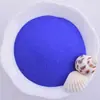 Pintura de Arena Cloisonné Material de Pintura de Esmalte Cloisonné Pintura Hecha a Mano Arena de Colores Hecho a Mano para Niños Embotellado