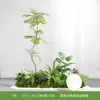 Pila de Troncos Serie PaisajePlantas y Flores Verdes Artificiales para Paisajismo, Decoraciones de Plantas Biónicas para Decoración de Vallas Interiores y Exteriores