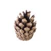 Materiais de Artesanato Pinhas de Natal Flores Secas Pinhões Pinhas Enfeites Decorativos Pinhas Decorações de Páscoa Feito à Mão Natural