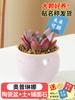 Planta Suculenta Interior Pequeña En Maceta Escritorio de Oficina Suculenta Cactus Bola Kindergarten Florales y Plantas Verdes Todo el Año