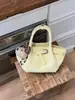 Bolsa de Mão com Alto Valor Estético para Mulheres, Nova Bolsa Tote Pequena Primavera 2026, Bolsa Saco Plissada, Bolsa Transversal