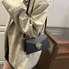 Bolsos de Diseño Nicho para Mujer 2025 Invierno Nuevo Estilo de Moda Bolso Cuadrado Pequeño Francés Textura Bolso de Hombro Único Cruzado