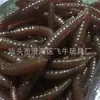 Adereços de Halloween Simulação Adesivo Macio TPR Lagarta Minhoca Preta Novos Brinquedos Estranhos Pequenos Minhoca Preta Falsa Minhoca de Vegetal