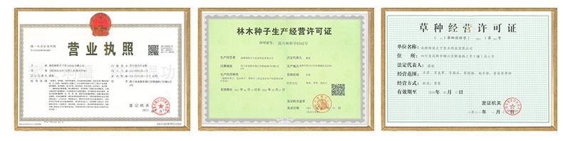 O1CN01j8d7z31TRd14vdj8h_!!2777