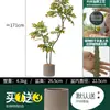 Habitat de folha de glicínia planta verde artificial alto padrão luxo leve interior sala de estar chão árvore falsa biônica planta em vaso