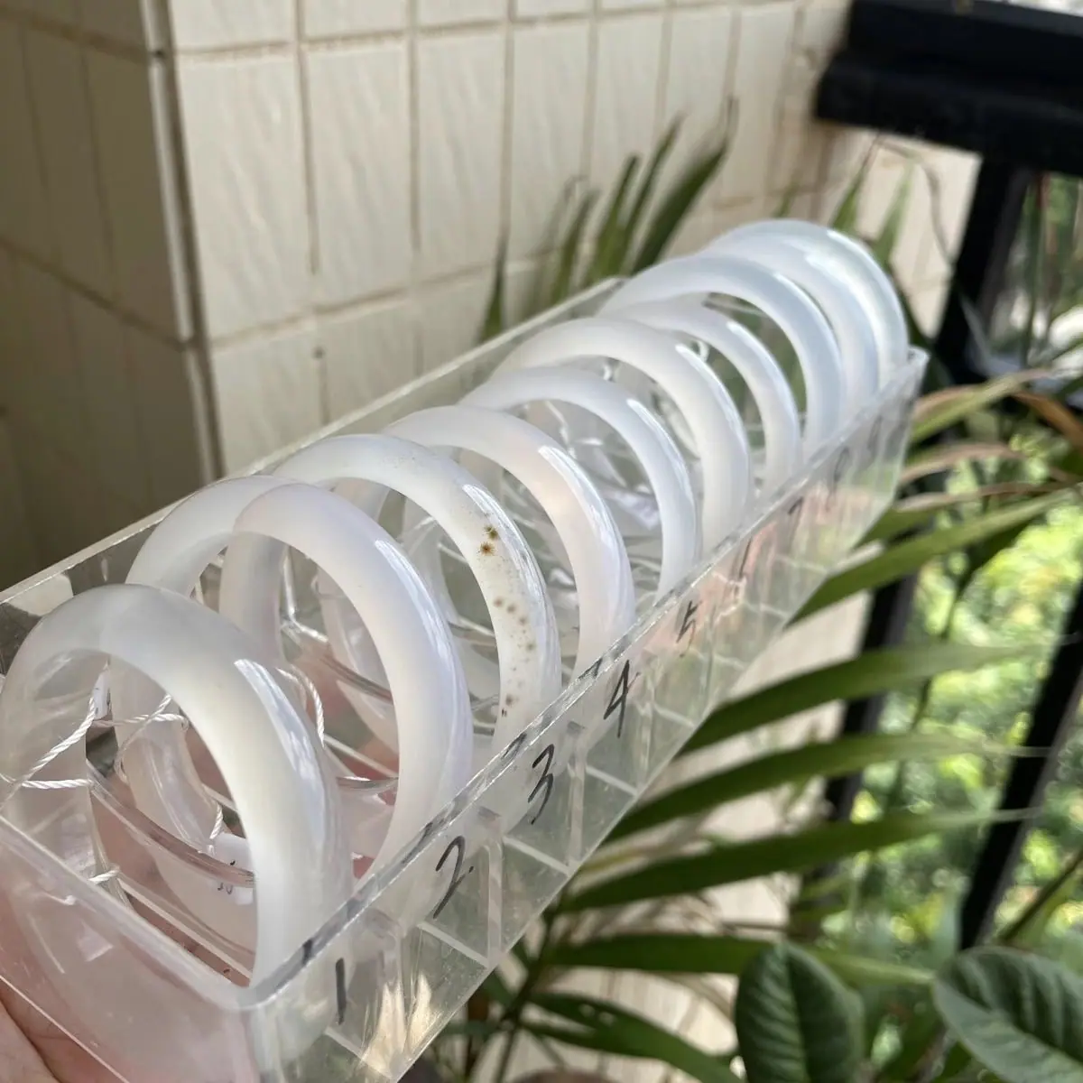 三档白