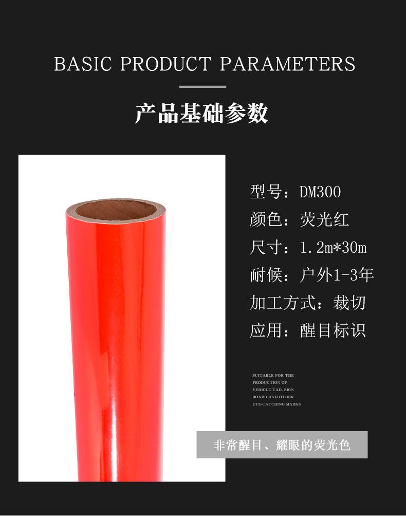 DM300_02.jpg