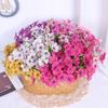 Transfronterizo 5 Flor de Hierba de Primavera Hierba Acuática Flor de Tela Serigrafiada Violeta Flor Artificial Boda Hotel Exterior Decorativo Flor Falsa