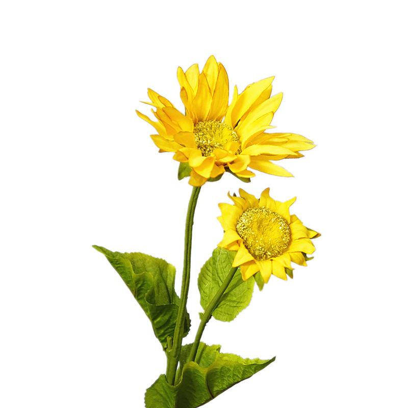 10356042847_734720388