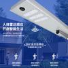 Solarlight aluminio integrado farola solar proyecto iluminación exterior lámpara de inducción fabricantes mayoristas