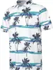 Nueva Camisa Polo para Hombre Amazon Transfronteriza Europea y Americana de Manga Corta de Secado Rápido Camisa de Golf Hawaiana 3D