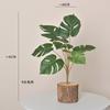 Planta Verde Hoja de Tortuga Hoja Colorida Taro Pothos Pasto Falso Planta Pequeña en Maceta Accesorios de Pared Hoja de Manzana Melón Cantalupo Flor Artificial