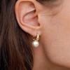 Hebilla de Oreja de Perla de Alta Calidad Simple Lujo Ligero Sensación Fresca Realmente Muchos Pendientes de Perla Gris Cáñamo Pendientes de Gama Alta de Nicho
