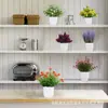 Plantas Simuladas de Venta Caliente Transfronteriza, Plantas Falsas, Plantas Verdes, Decoración para Interiores y Exteriores, Plantas en Maceta de Plástico, Pequeñas Plantas en Maceta de Eucalipto