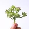 Planta verde de folha de lótus carnuda falsa planta em vaso simulação plástico Lótus simulação de casamento flor artificial feita à mão decoração de interior flor artificial
