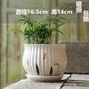 Maceta de cerámica de una pieza para el cabello, extragrande, ligera, de lujo, estilo Ins, de alta calidad, para el hogar, con flores carnosas de Phalaenopsis.