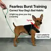 Correa de Perro Antiestiramiento con Cadena P para Mascotas Resistente al Tirón Correa para Pasear Gatos y Perros
