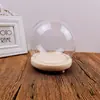 Bake Cake Decorativo Bola Hemisférica Tulipán Luz Nocturna con Lámpara Soporte de Madera diy Hecho a Mano Corcho Cubierta de Vidrio